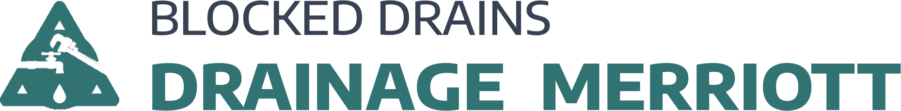 website logo